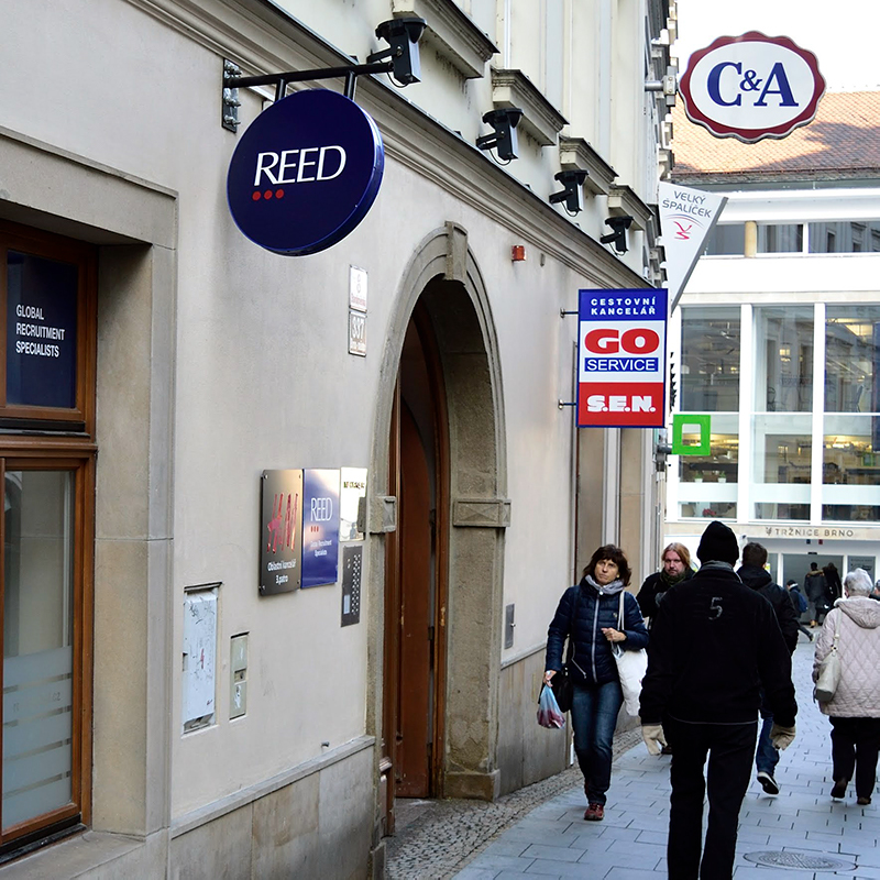 Reed Brno